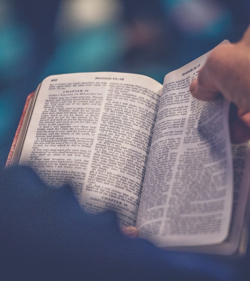 Person reading at a sunlit wooden desk